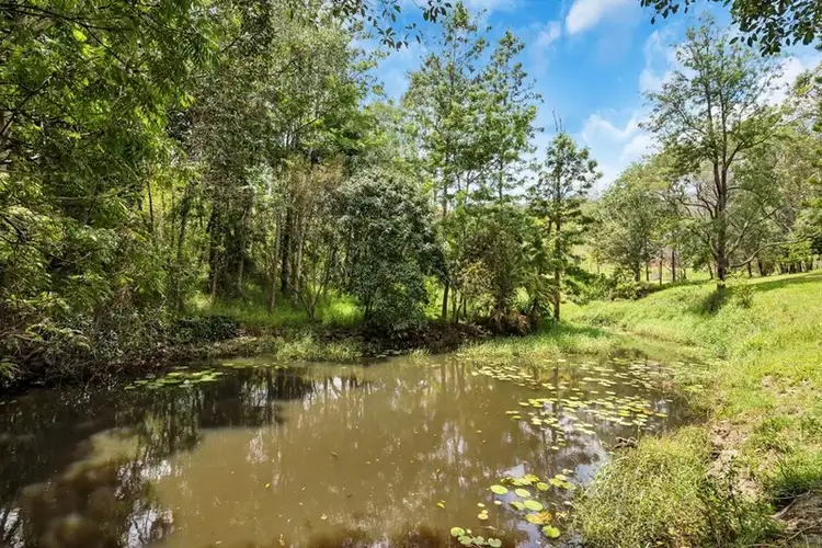 Seventh view of Homely rural property listing, 28 Glen Circuit, Clagiraba QLD 4211