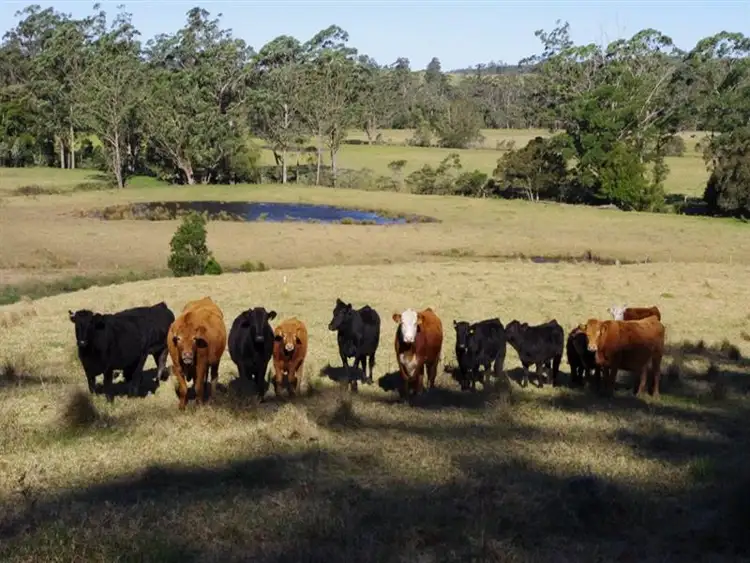 Main view of Homely land listing, 123,146,148 Princes Highway, Conjola NSW 2539