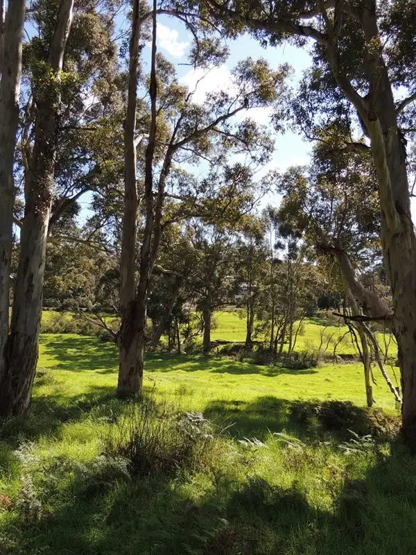 Sixth view of Homely house listing, 1189 South Coast Highway, Denmark WA 6333