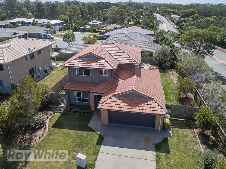 Fifth view of Homely house listing, 8 Lizard Place, Redland Bay QLD 4165