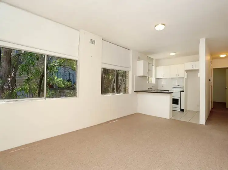 8/8 Avona Avenue, Glebe NSW 2037