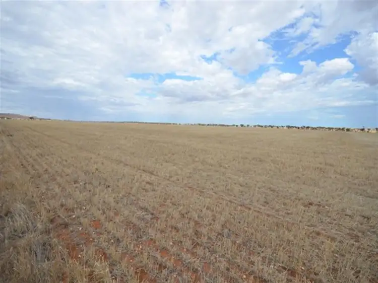 Main view of Homely rural property listing, 3 Chain Road, Beaufort SA 5550