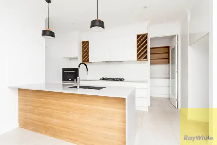 Third view of Homely house listing, 13 Honeyeater Place, Bli Bli QLD 4560