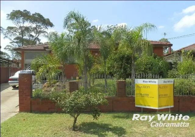 35 David Street, Mount Pritchard NSW 2170