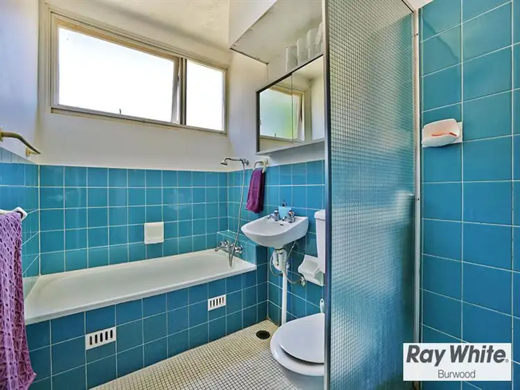 Fifth view of Homely apartment listing, 14 115 Alt Street, Ashfield NSW 2131