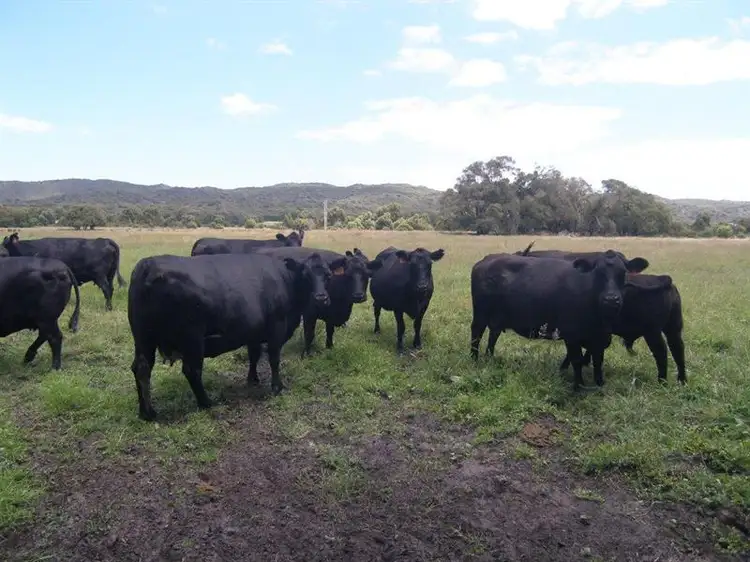 Third view of Homely rural property listing, LOT 2842 Thompson Road, Denmark WA 6333