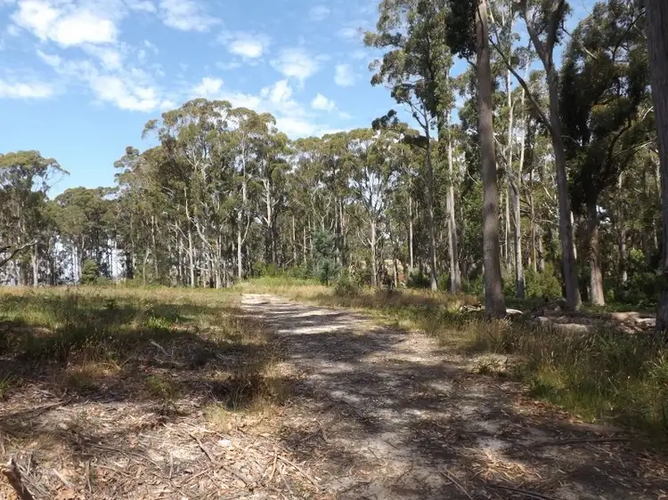 Fifth view of Homely land listing, 21 Dennison Close, Heybridge TAS 7316