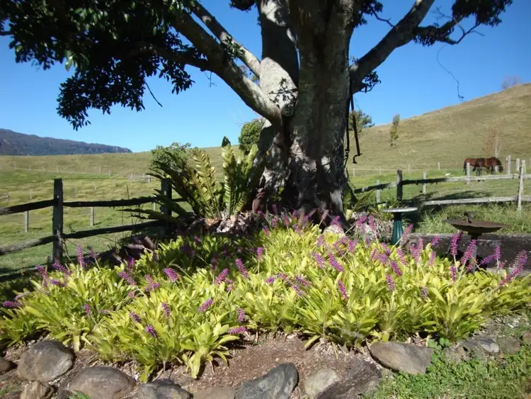 Seventh view of Homely rural property listing, 148 Pine Log Road, Doon Doon NSW 2484