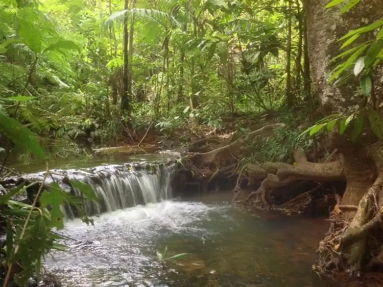 Fifth view of Homely house listing, 189 Beahr Road, Utchee Creek QLD 4871