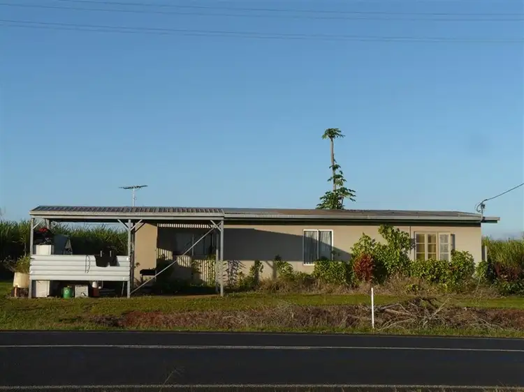 Seventh view of Homely rural property listing, 935 to 983 Palmerston Highway, Innisfail QLD 4860
