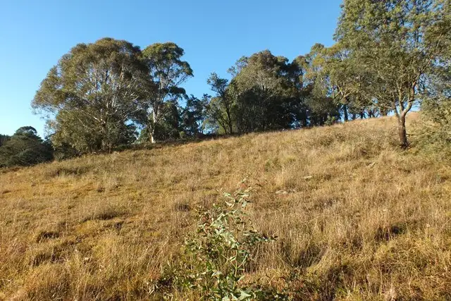 Fifth view of Homely rural property listing, Lot 2 Gingkin Road, Gingkin NSW 2787