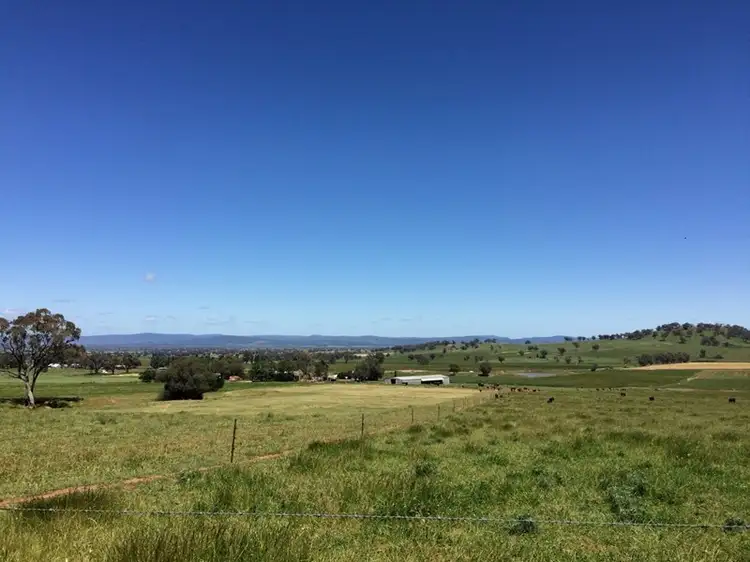 Seventh view of Homely rural property listing, 2006 Canowindra Road, Canowindra NSW 2804