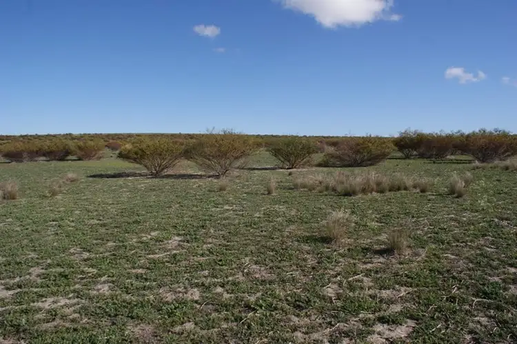 Fifth view of Homely rural property listing, LOT 66 Strawberry North East Road, Mingenew WA 6522