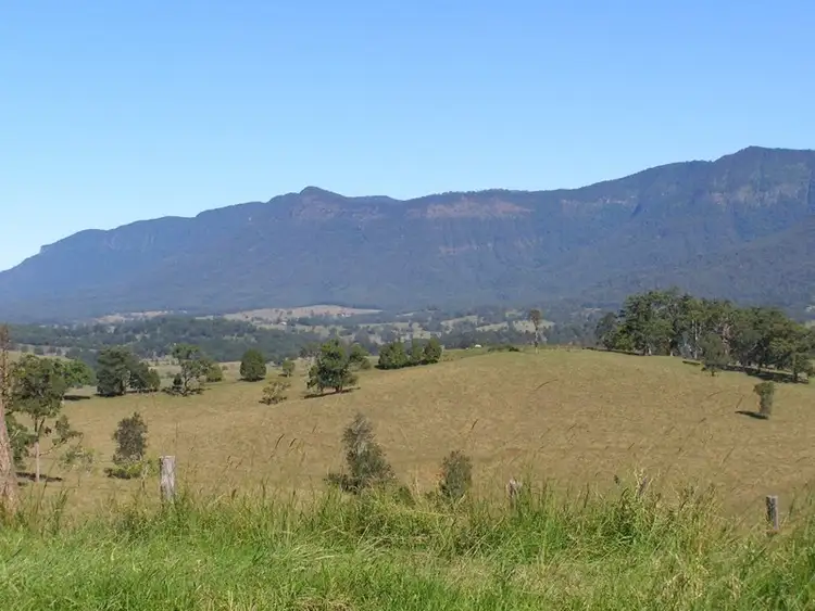 Sixth view of Homely rural property listing, 187 Tyalgum Creek Road, Tyalgum Creek NSW 2484