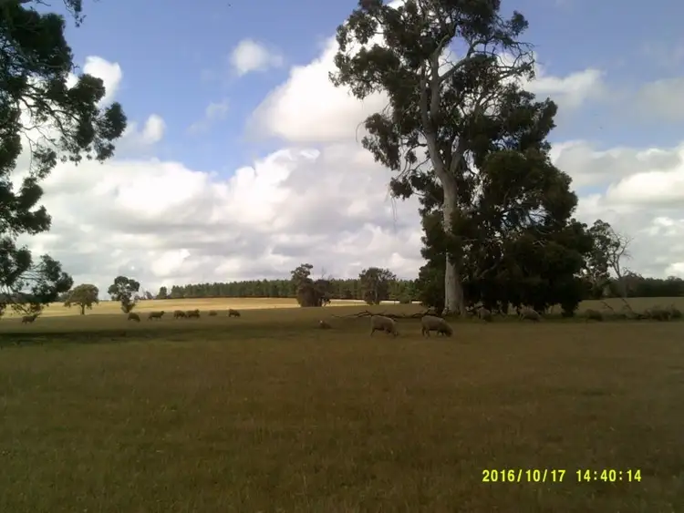 Fifth view of Homely rural property listing, Riverbends The House, 137 Ryan Road, Kojonup WA 6395