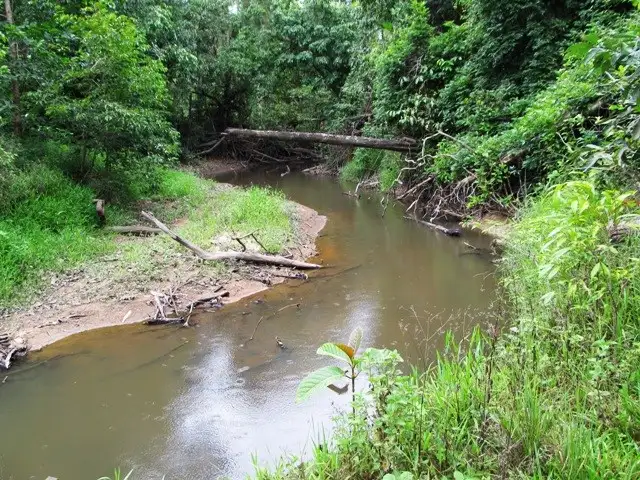 Fourth view of Homely land listing, Lot 163 Raes Road, Abergowrie QLD 4850