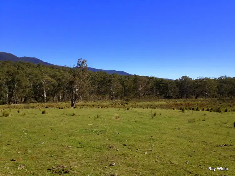 Fifth view of Homely rural property listing, 903 Hereford Hall, Braidwood NSW 2622