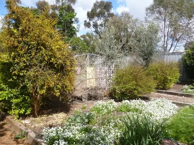 Third view of Homely house listing, 49 Harvey Street, Dumbleyung WA 6350