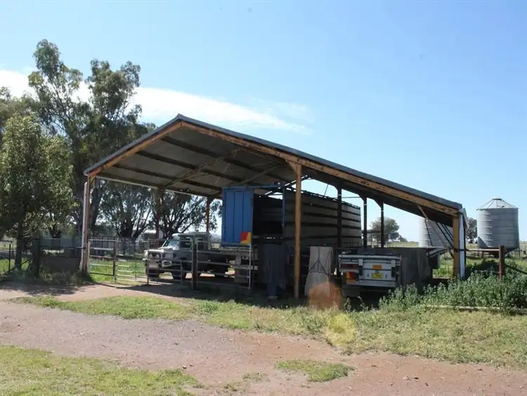 Seventh view of Homely rural property listing, 1937 Nangar Road, Canowindra NSW 2804