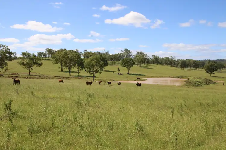 Seventh view of Homely rural property listing, 716 Langs Road, Monto QLD 4630