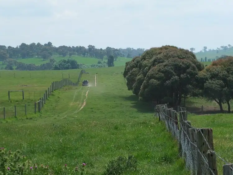 Seventh view of Homely rural property listing, 1233 Triangle Flat Road, Bathurst NSW 2795