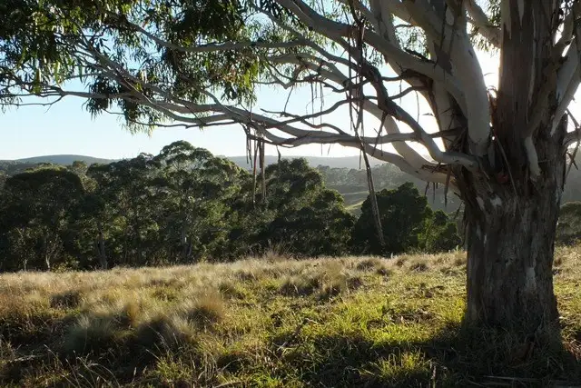 Main view of Homely rural property listing, Lot 2 Gingkin Road, Gingkin NSW 2787