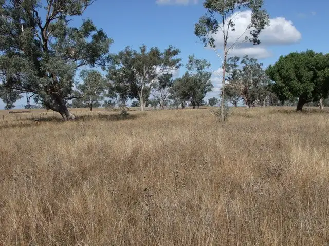 Seventh view of Homely rural property listing, ' BERNANDAWN', Coonabarabran NSW 2357