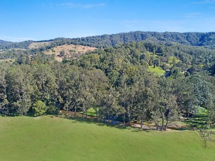Second view of Homely rural property listing, 418 Upper Crystal Creek Road, Crystal Creek NSW 2484