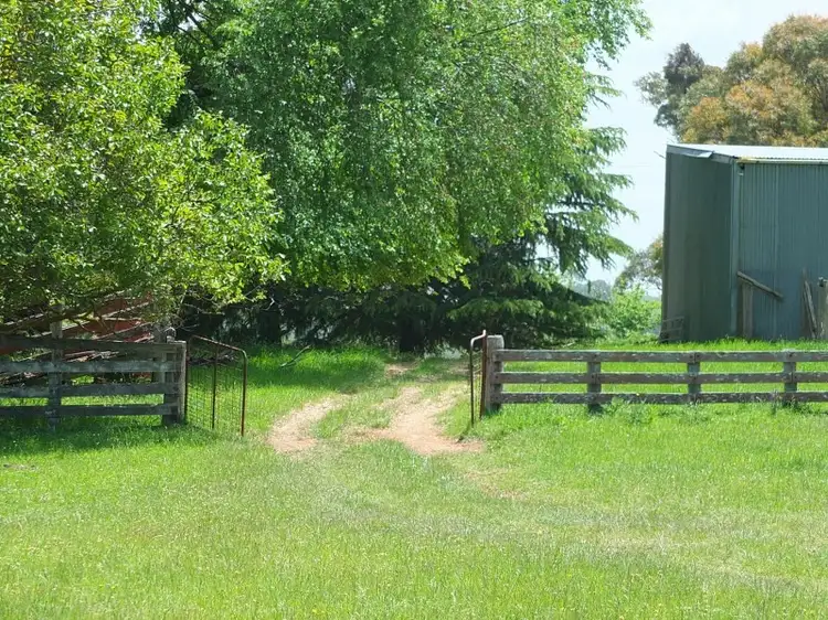 Second view of Homely rural property listing, 1233 Triangle Flat Road, Bathurst NSW 2795