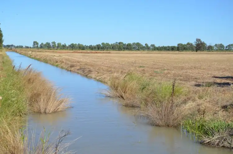 Second view of Homely rural property listing, 798 Willawa Lane, Finley NSW 2713