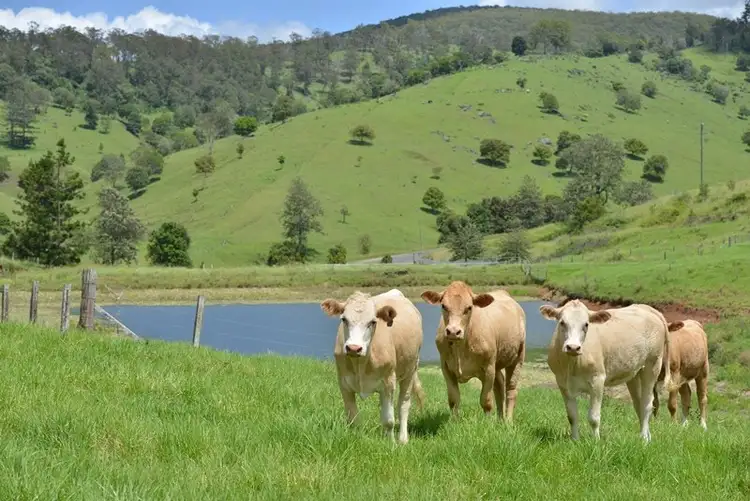Sixth view of Homely rural property listing, 447 Newman Lane, Delaneys Creek QLD 4514