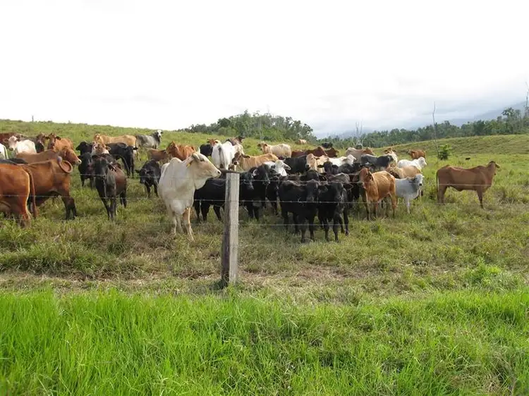 Fifth view of Homely rural property listing, 66477 Bruce Highway, Woopen Creek QLD 4871
