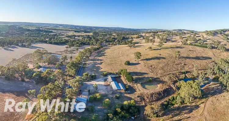 Seventh view of Homely house listing, 580 Mclaren Flat Road, Mclaren Flat SA 5171