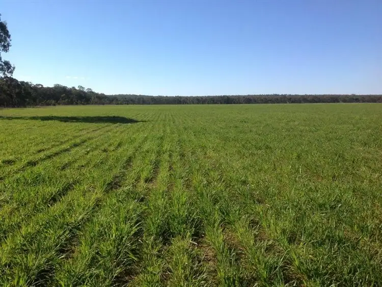 Sixth view of Homely rural property listing, Lot 4 North Pine Creek, Coonabarabran NSW 2357