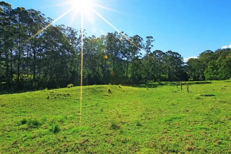 Seventh view of Homely rural property listing, Lots 56 and 111 Main Road, Cambewarra NSW 2540