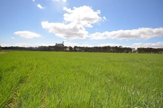 Third view of Homely rural property listing, Ma's and Lagoon Main Road, Robertstown SA 5381