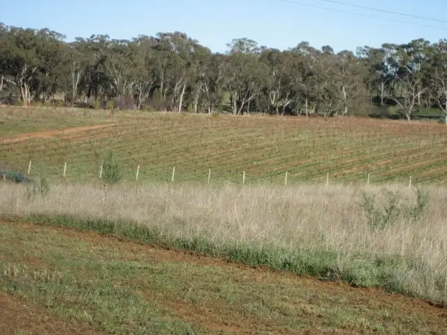 Second view of Homely land listing, 878 Boundary Road, Young NSW 2594