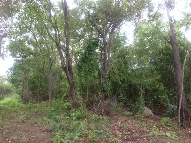 Seventh view of Homely land listing, Lot 3125 82 Zuleika Road, Dundee Beach NT 840