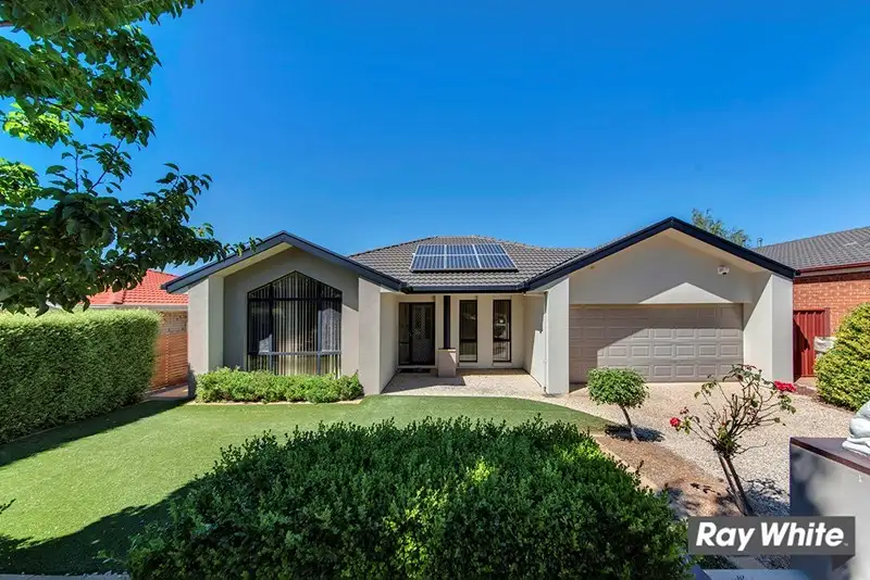 Main view of Homely house listing, 24 Mission Street, Amaroo ACT 2914