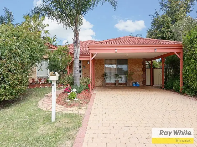 Main view of Homely house listing, 16 Kaputar Court, Ballajura WA 6066