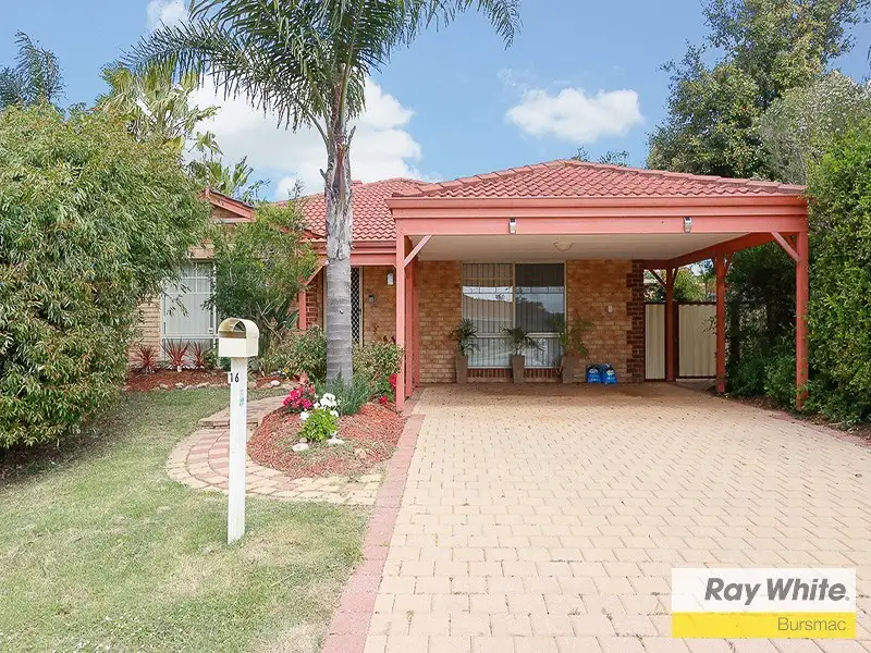 Main view of Homely house listing, 16 Kaputar Court, Ballajura WA 6066