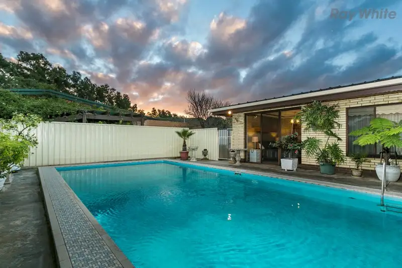 Main view of Homely house listing, 316 Marion Road, Netley SA 5037