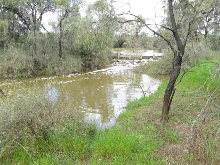 Sixth view of Homely rural property listing, 00 Manns Road, Quambatook VIC 3540