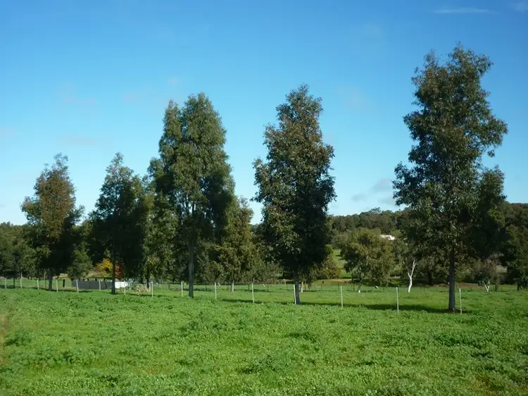 Seventh view of Homely house listing, 137 Limousin Way, Lower Chittering WA 6084