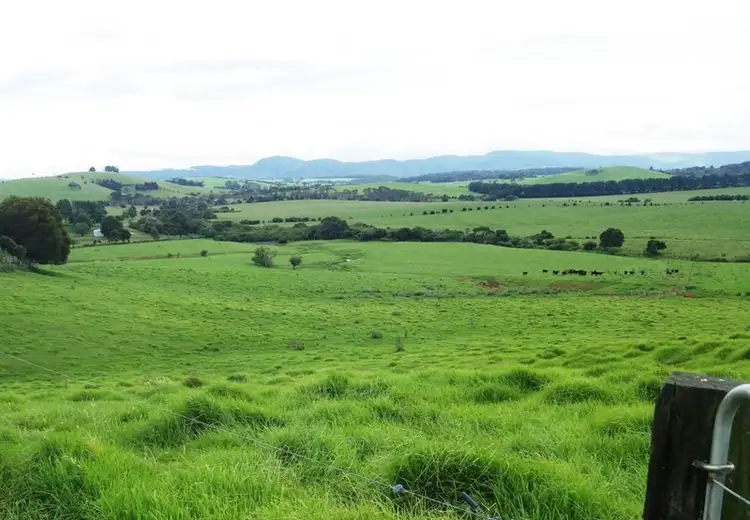 Fourth view of Homely rural property listing, 487 Rocky Creek Road, Dorrigo NSW 2453