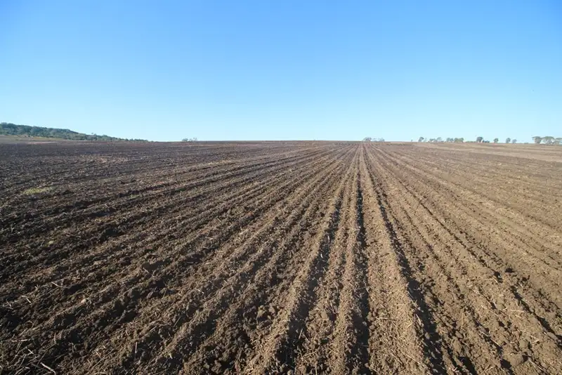 Main view of Homely rural property listing, Address available on request