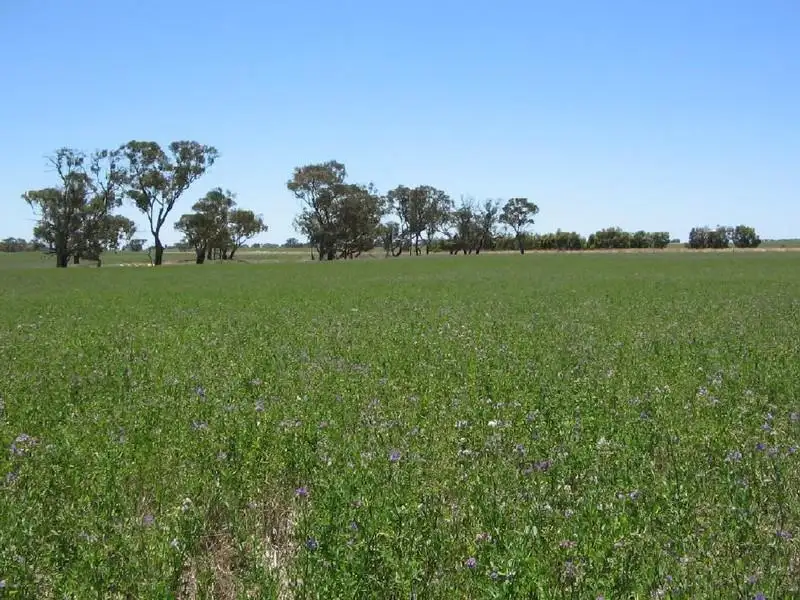 Main view of Homely rural property listing, Sec. 75 Senior Road, Bordertown SA 5268