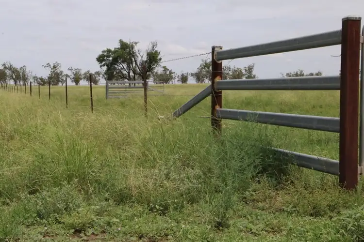 Fifth view of Homely rural property listing, 0 ALVALEA East, Roma QLD 4455
