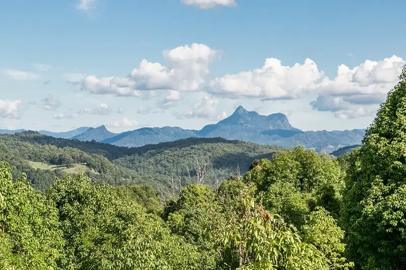 Main view of Homely rural property listing, 271 Carool Road, Carool NSW 2486