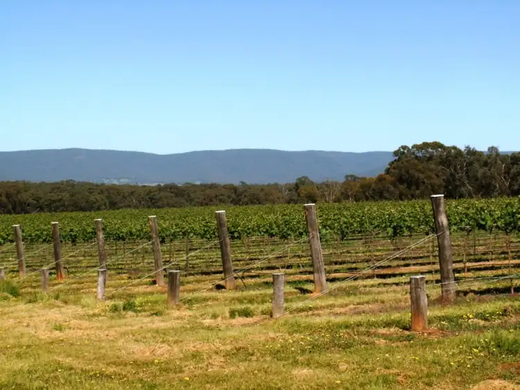 Seventh view of Homely rural property listing, 20 Morris Lane, Avoca VIC 3467